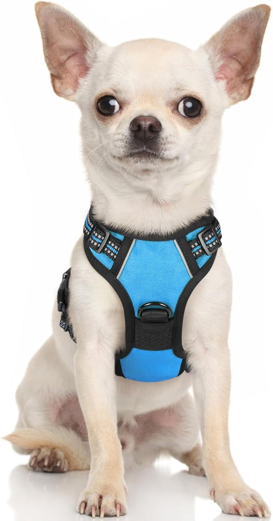 rabbitgoo Dog Harness 2 Leash