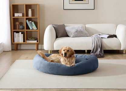 Arlee Orbit Orthopedic Memory Foam Dog Bed