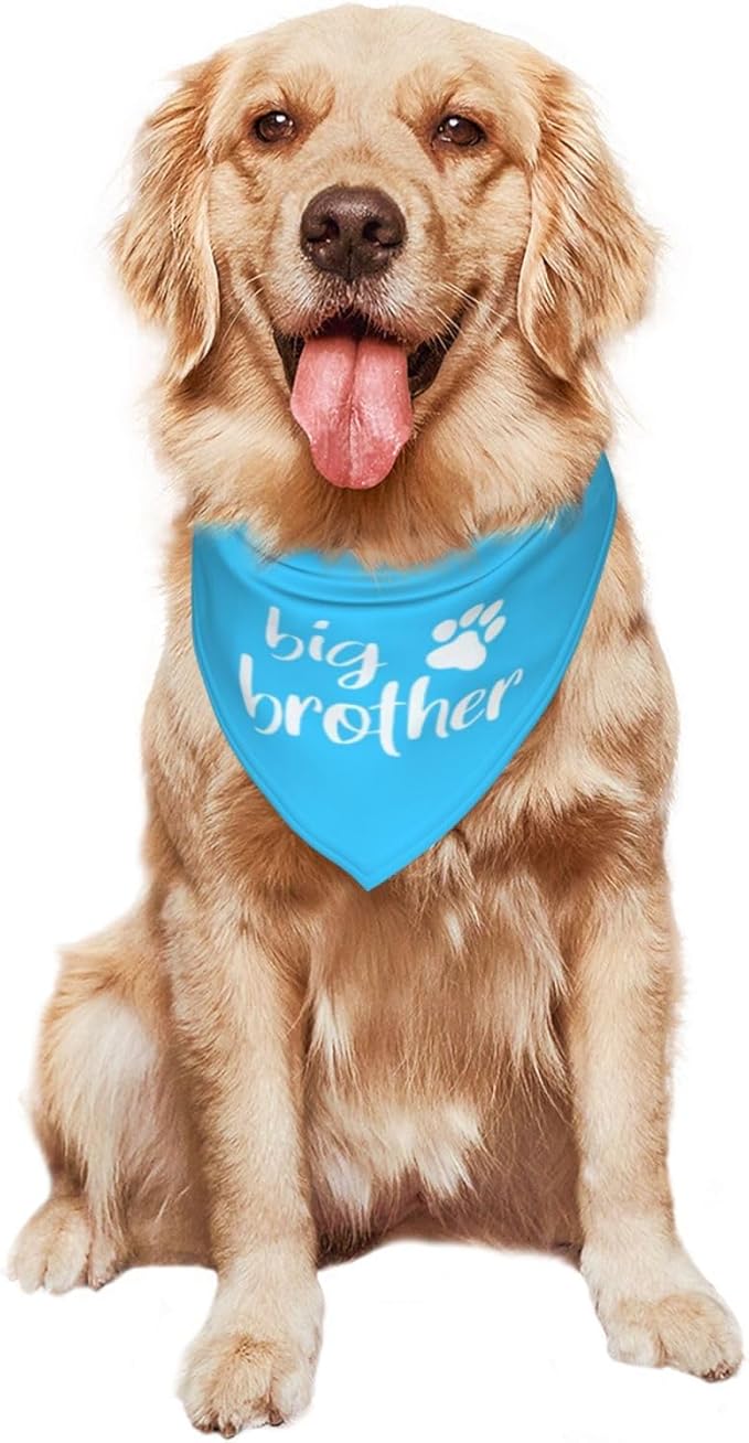 Big Brother Gender Reveal Baby Announcement Dog Bandana