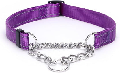 Martingale Dog Collar with Stainless Steel Chain and Leash Set 5FT Double