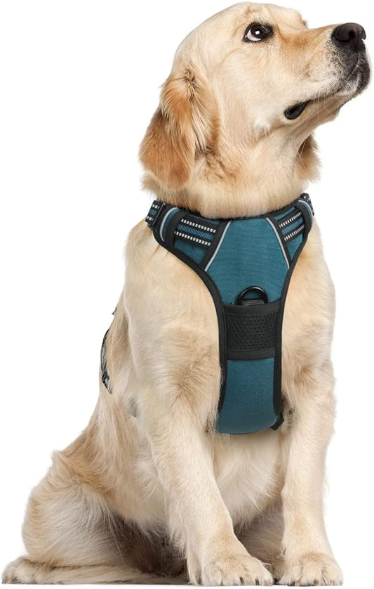 rabbitgoo Dog Harness, No-Pull Pet Harness with 2 Leash Clips, Adjustable Soft Padded Dog Vest, Reflective No-Choke Pet Oxford Vest with Easy Control Handle for Large Dogs, Blue Coral, L