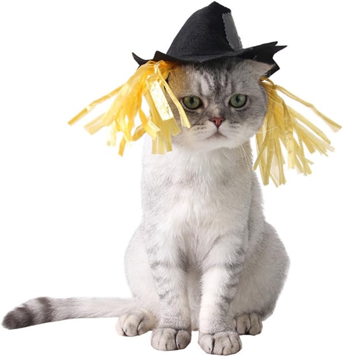 NAMSAN Halloween Pet Costume for Cats Small Dogs