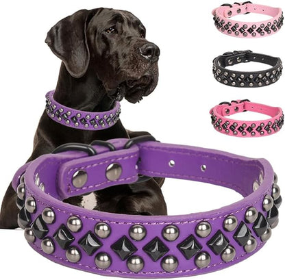 Dog Collars for Small Dogs