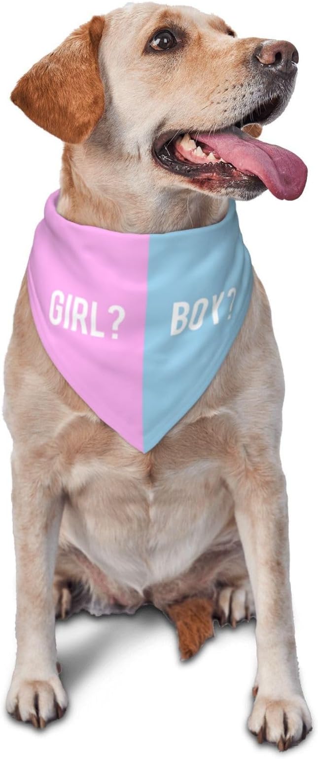 He Or She What Will It Be? Gender Reveal/Baby Announcement Dog Bandana,Pet Neckerchief for Pets Daily Wear Photo Prop Party Supplies (Pink/Blue-1)