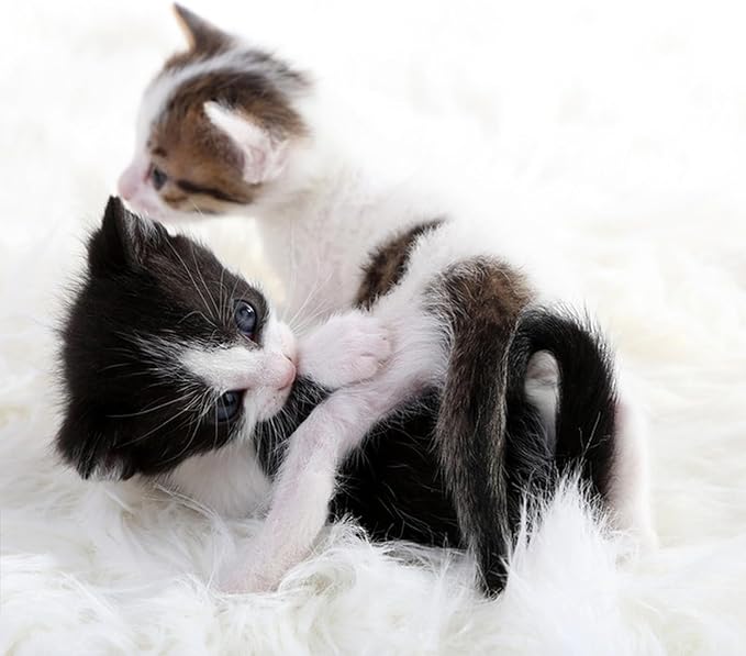 Fluffy Small Dog Cat Bed Mat