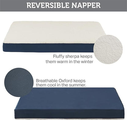 Friends Forever Orthopedic Dog Bed 36x27x3