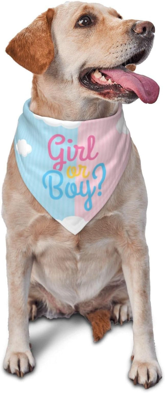 He Or She What Will It Be? Gender Reveal/Baby Announcement Dog Bandana,Pet Neckerchief for Pets Daily Wear Photo Prop Party Supplies (boy or Girl Clouds)