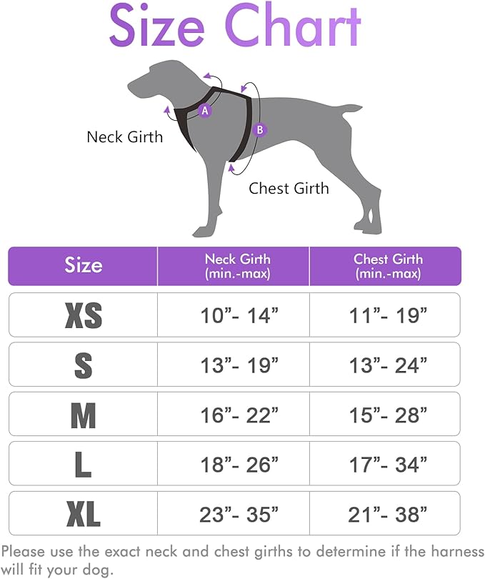 rabbitgoo Dog Harness, No-Pull Pet Harness with 2 Leash Clips, Adjustable Soft Padded Dog Vest, Reflective No-Choke Pet Oxford Vest with Easy Control Handle for Large Dogs, Purple, L