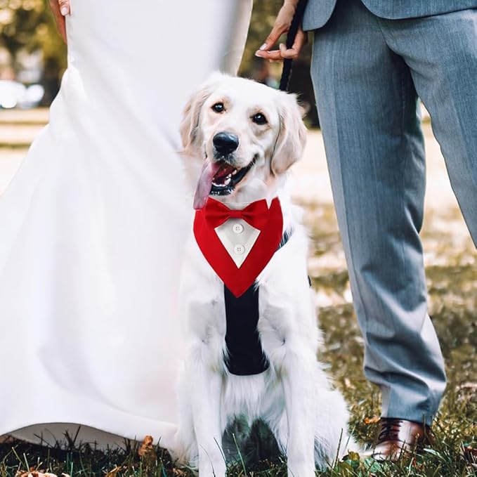 Dog Wedding Bandana, Formal Dog Tuxedo Adjustable Pet Collar with Bow, Small, Medium and Large Dog Wedding Clothing, Birthday Gifts for Dogs (Large, Red)