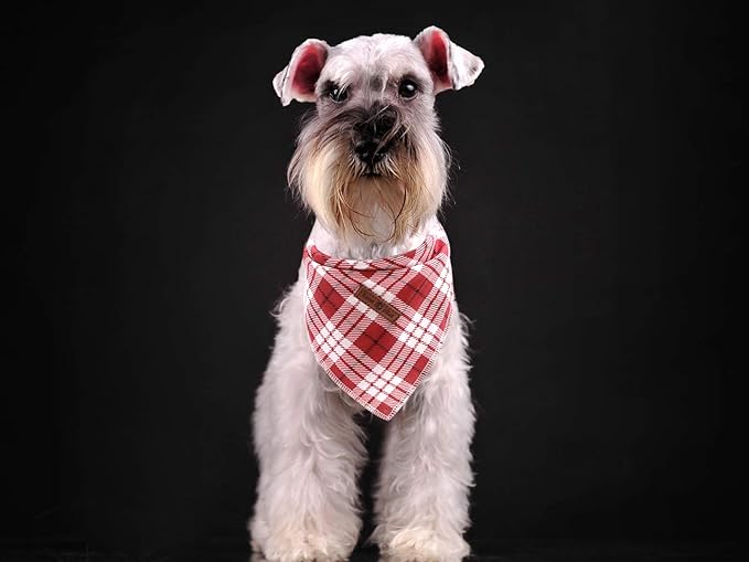 Lionet Paws Christmas Dog Bandana Washable Cotton Handkerchief