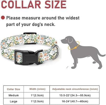 Dog Collar