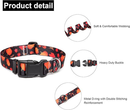 Adjustable Dog Collar with Patterns