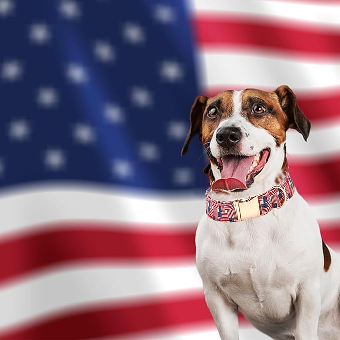 Independence Day Dog Collar, Pet Collar Summer Dog Collar Durable Metal Pet Collar Dog Girl Boy Dog Collars Adjustable Dog Collar for Small Medium Large Dogs