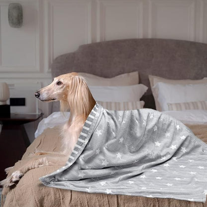 ARGOPET Dog Cooling Blanket 41 * 30inch Lightweight