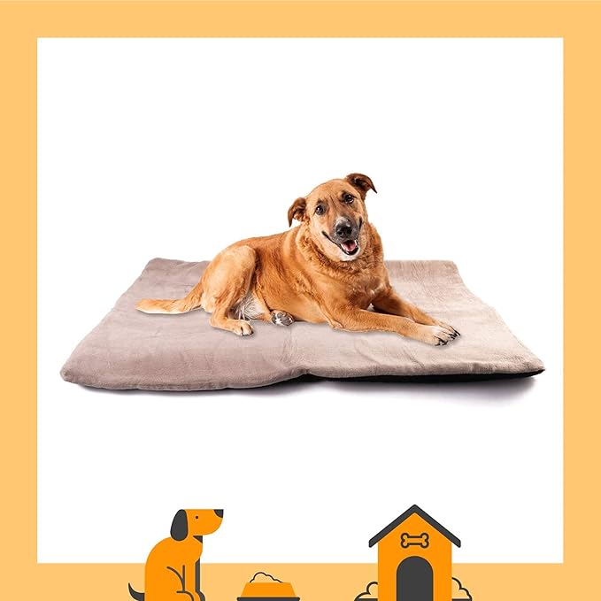 Dog Mat 27.5 x 39.3 in