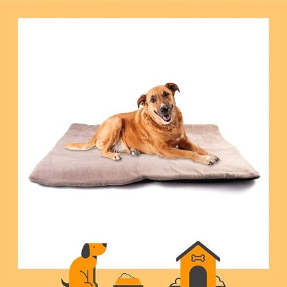 Dog Mat 27.5 x 39.3 in
