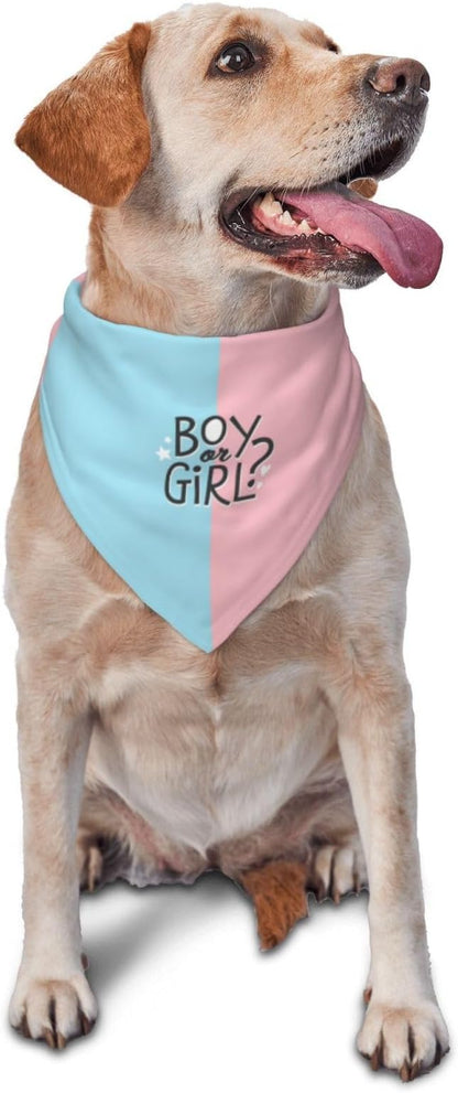He Or She What Will It Be? Gender Reveal/Baby Announcement Dog Bandana,Pet Neckerchief for Pets Daily Wear Photo Prop Party Supplies (boy or Girl-1)