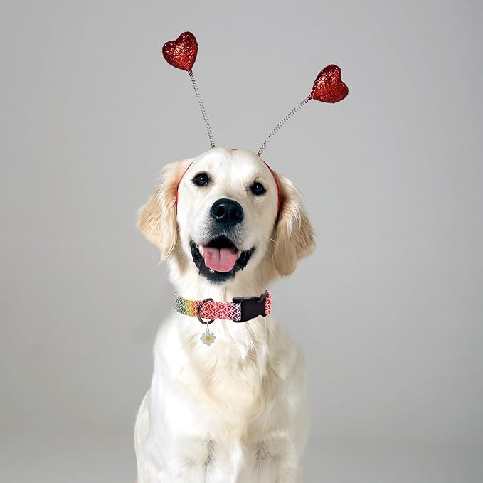 Colorful Heart Dog Collar with Pendant