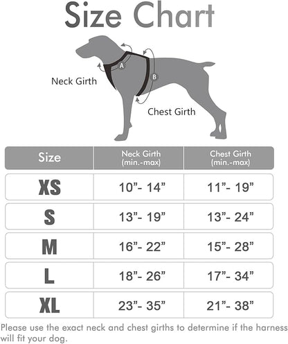 rabbitgoo Dog Harness, No-Pull Pet Harness with 2 Leash Clips, Adjustable Soft Padded Dog Vest, Reflective No-Choke Pet Oxford Vest with Easy Control Handle for Small Dogs, Grey, S