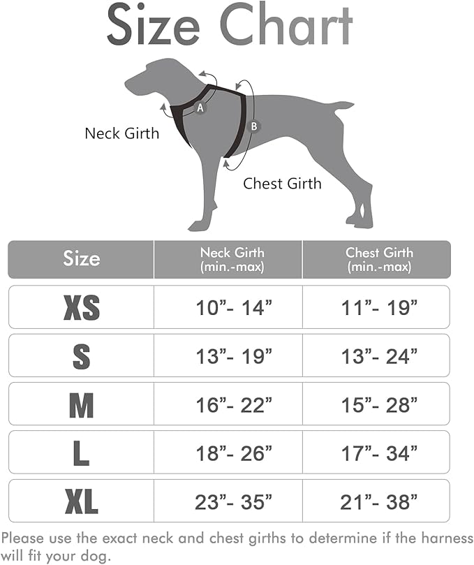 rabbitgoo Dog Harness, No-Pull Pet Harness with 2 Leash Clips, Adjustable Soft Padded Dog Vest, Reflective No-Choke Pet Oxford Vest with Easy Control Handle for Small Dogs, Grey, XS