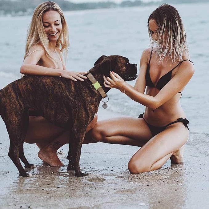 Air Tags-2 Pack Airtag Dog Collar Holder SWINCHO 1-3cm Width