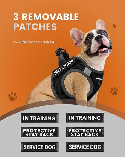 FAYOGOO Service Dog Vest for Small Breed - Lightweight Dog Harness with 6PCS Removable Patches - Puppy Harness and Leash Set for Walking,Training