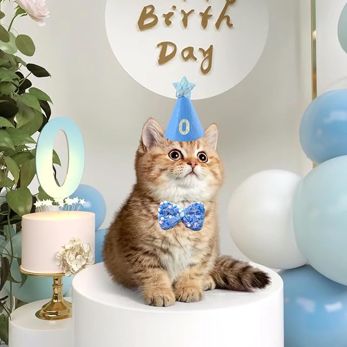 Dog Cat Birthday Party Supplies Outfit Bandana Bib