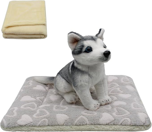 Cat Dog Bed Mat & Blanket