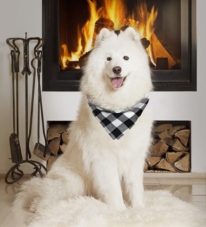 Birthday Plaid Dog Bandana with Button