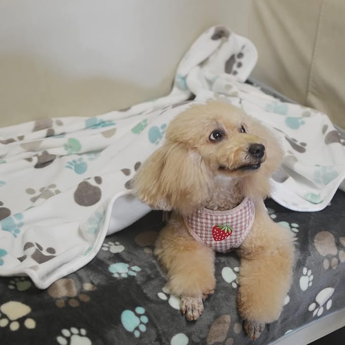 1 Pack 3 Puppy Blankets Super Soft Warm Sleep Mat Cute PAW Print Blanket Fleece Pet Blanket Flannel Throw Dog Blankets for Small Dogs Puppy Cats Gray/White/Brown-Medium(29"x20")