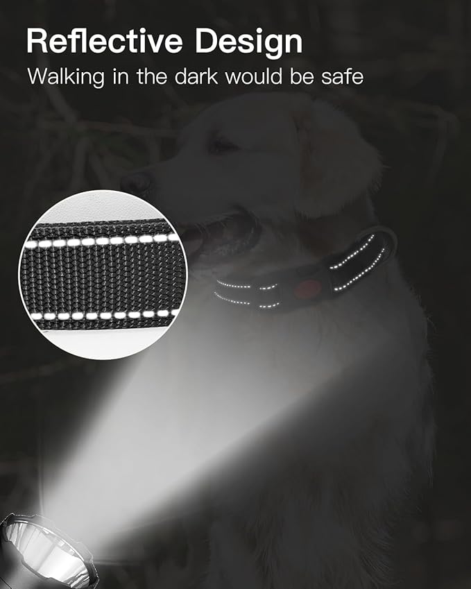 Reflective Dog Collar