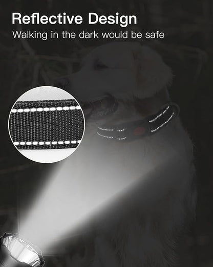 Reflective Dog Collar