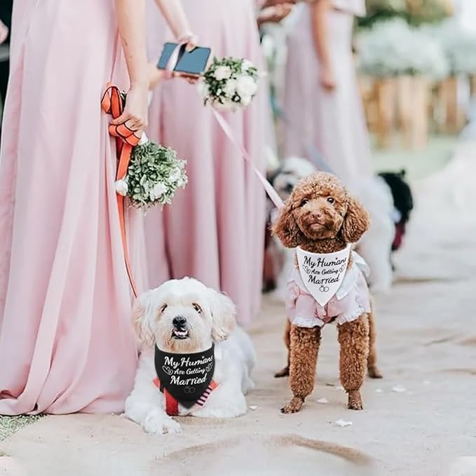 SZEE Wedding Dog Bandanas, My Humans are Getting Married Dog Bandanas for Dogs, Dog Engagement Wedding Party, Pet Wedding Photo Prop Bandana for Engagement, Gifts for Couples (White & Black, Small)