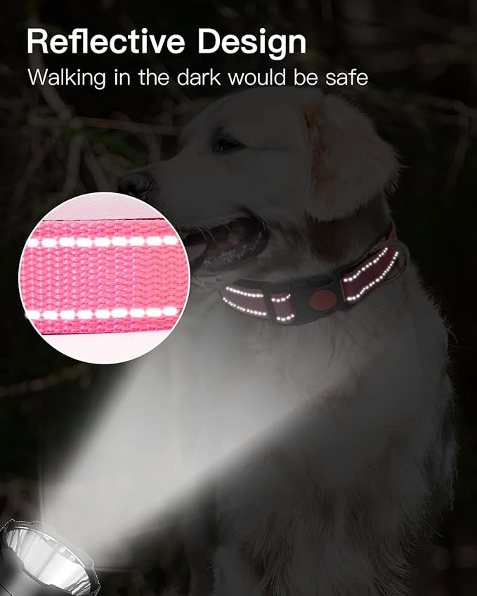 Reflective Dog Collar