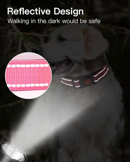 Reflective Dog Collar