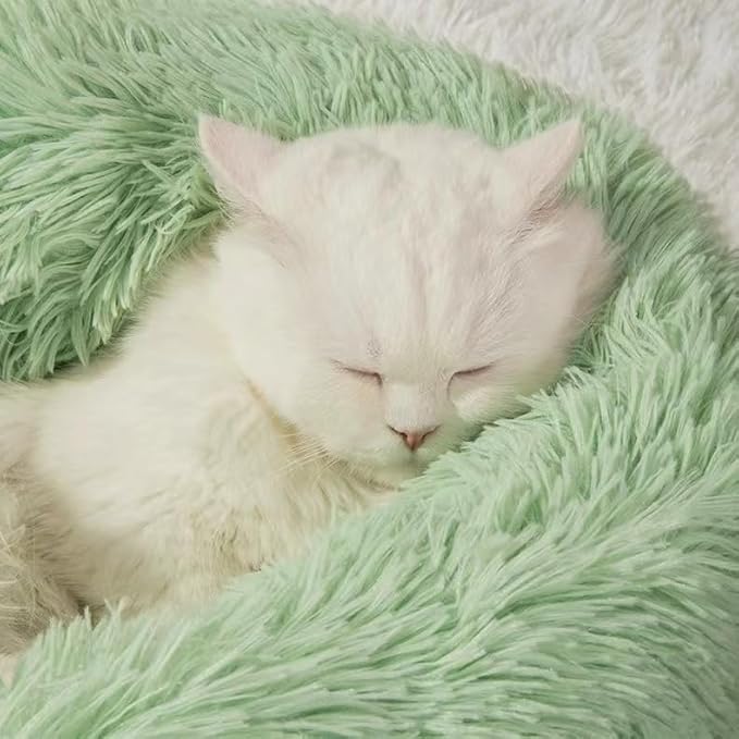 Cat Beds for Indoor Cats 20/24 inches,