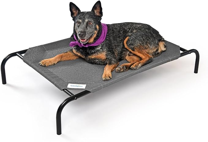Coolaroo The Original Cooling Elevated Dog Bed