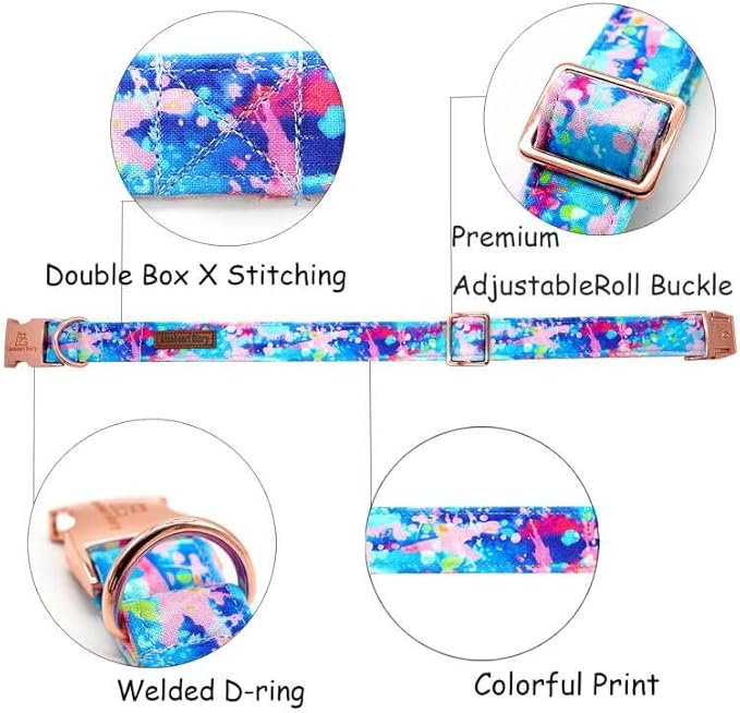 Lionheart glory Dog Collar Colorful Dog Collar Premium