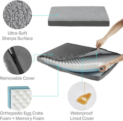 Friends Forever Orthopedic Dog Bed 30x20x3