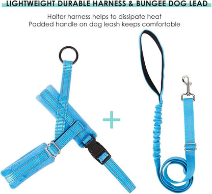 Lukovee Dog Harness and Leash Set, Soft Padded Small Dog Harness, Neck & Chest Adjustable Reflective Vest Puppy Harness with 4ft Lightweight Anti-Twist Dog Leash for Small Dogs (Light Blue, XX-Small)