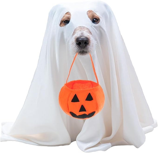 Mity rain Dog Halloween Costumes - Dog Ghost Costume with Felt Pumpkin Trick or Treat Bucket, Small Dog Halloween Costumes (28Pounds), Funny and Cute Dog Costumes Clothes for Halloween Cosplay Party