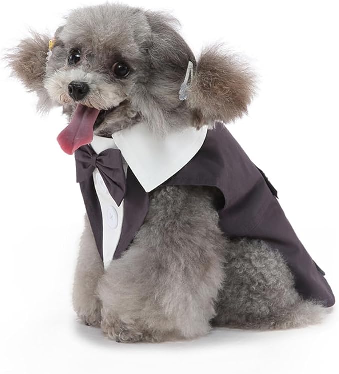 Puppy Tuxedo with Detachable Bowtie Prom Wedding Formal Wear Prince Costume for Small Dog (Large, Grey)