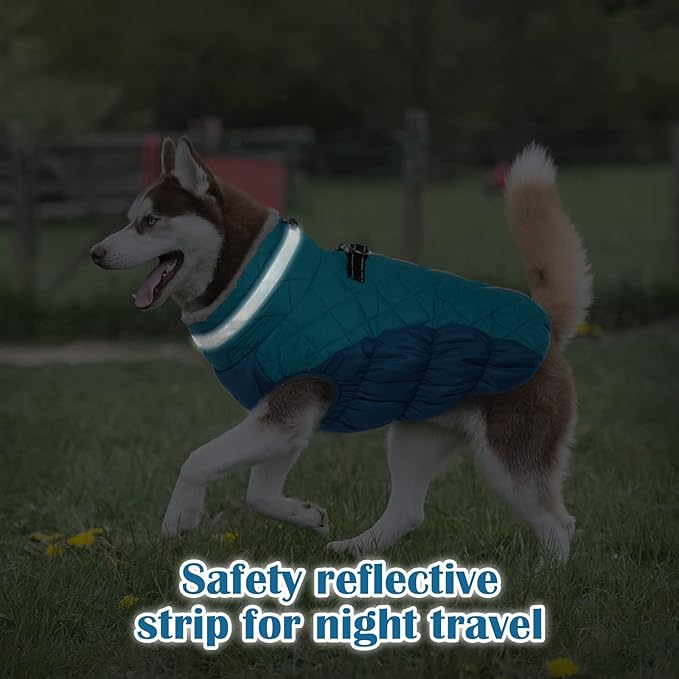 Dog Coat