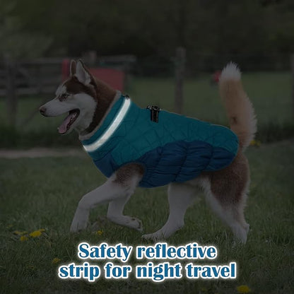 Dog Coat