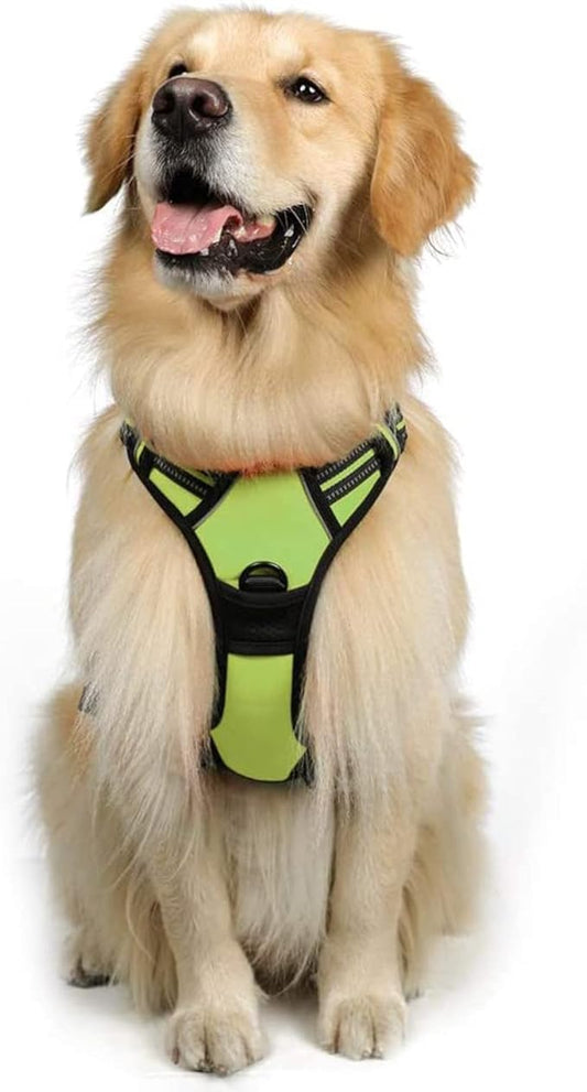 rabbitgoo Dog Harness, No-Pull Pet Harness with 2 Leash Clips, Adjustable Soft Padded Dog Vest, Reflective No-Choke Pet Oxford Vest with Easy Control Handle for Large Dogs, Wild Lime, XL