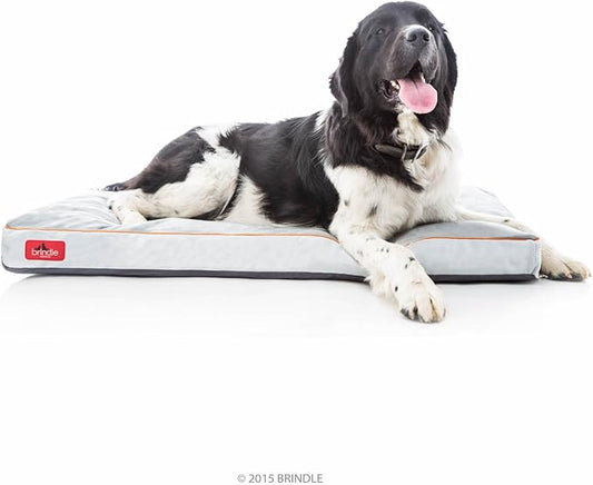 BRINDLE Stone Shredded Memory Foam Pet Bed