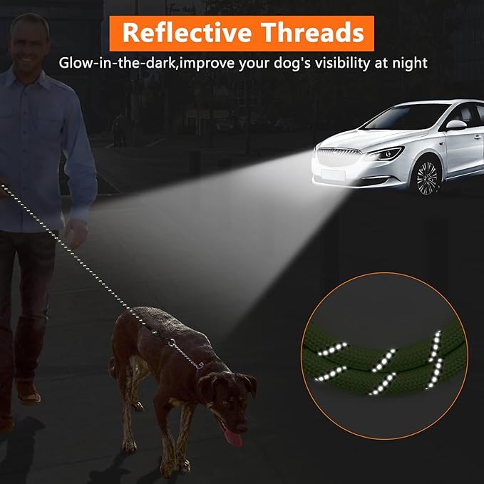 NTR 50FT Dog Long Leash