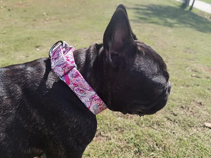 Martingale Dog Collars