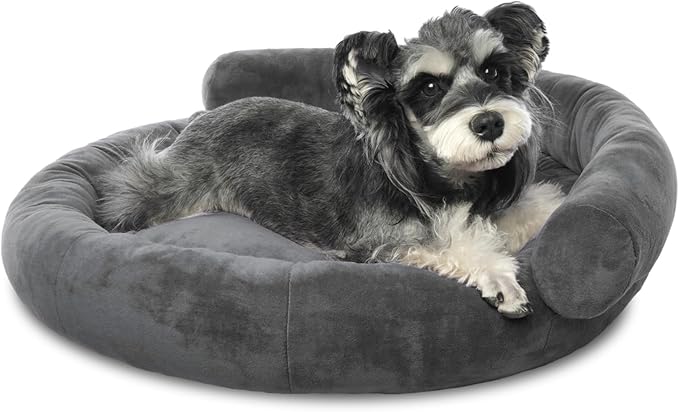 DENTRUN Dog Bed for Medium Dogs