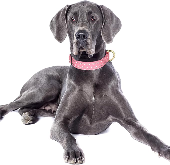 Reflective Dog Collar